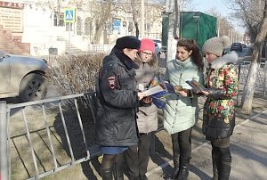 Госавтоинспекции Севастополя провели для школьников профилактическую акцию «Безопасная дорога»