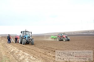 Инвестор приступил к реализации многомиллионного проекта по выращиванию винограда в Крыму