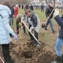 Юрий Гоцанюк принял участие в акции по посадке деревьев в пгт молодёжное