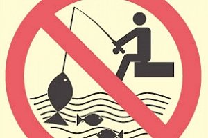 На Крымских водоемах запретили ловить рыбу