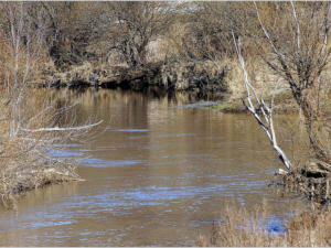 В реке Биюк-Карасу не превышено содержание загрязняющих веществ, — Минприроды РК