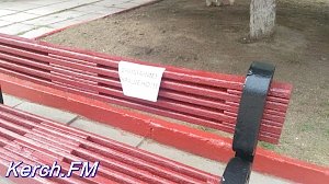 На площади перед ДК «Корабел» покрасили скамейки и выловили мусор из фонтана