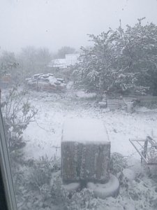 В столице Крыма выпал снег