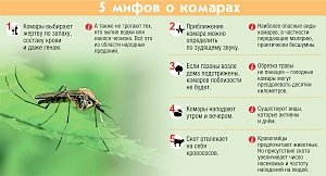 В Крым могут завезти малярию