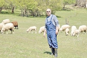 Крымский ветеринар: Принимать роды у коровы в поле молодёжь не рвётся