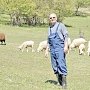 Крымский ветеринар: Принимать роды у коровы в поле молодёжь не рвётся
