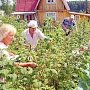 В правительстве Севастополя сделают Комиссию для решения проблем садоводов