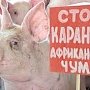 Владелец «Тайгана» Зубков остался без свиней