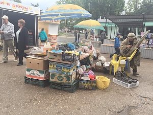 Как севастопольцы относятся к уличной торговле