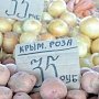 Маркетинговый помидор: и вправду ли овощи на прилавках Симферополя крымские