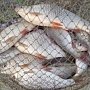 На водохранилище в Ленинском районе браконьеры незаконно вылавливали рыбу