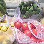 Россельхознадзор пресек провоз более 500 кг контрафактных овощей и фруктов из Украины