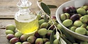 Оливки в Крыму будут выращивать итальянцы