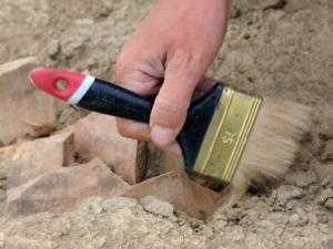 Скелет подростка древних времён нашли археологи на месте строительства трассы «Таврида»