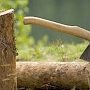 В лесополосе и в парковой зоне Красногвардейского района незаконно рубили деревья