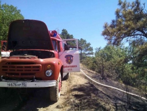 Пожарные спасли хвойный лес от огня