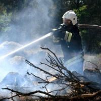 МЧС предупреждает об опасности пожаров в лесу