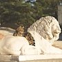 ТОП самых величественных и необычных львов Крыма