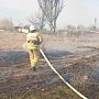 Крымские пожарные за неделю ликвидировали более 170 загораний