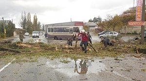 Штормовой ветер повалил тополя на трассе Симферополь-Севастополь