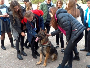 Кинологи научили юных керчан «общаться» со служебными собаками