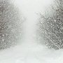 МЧС предупреждает о сильном ветре, снеге и гололедице