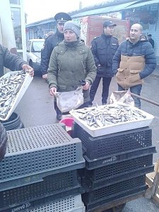 В Керчи у стихийщиков изъяли почти 500 кг рыбы