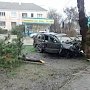 В Феодосии столкновение автомобиля с деревом привело к гибели девушки