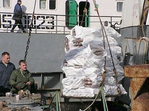 В первые дни нового года крымские рыбаки ставят рекорды
