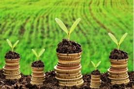 Земельный налог в 2018 году для владельцев участков в среднем составит около 300 рублей, — Наздрачев