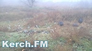 Неизвестные выкинули мешки мусора в обрыв в Аршинцево