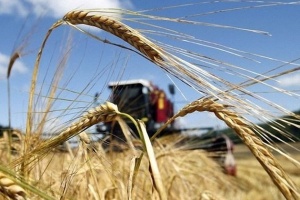 Аграрии Крыма собрали рекордный урожай зерна