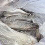В Крым вновь незаконно пробовали ввезти более 100 кг продукции животного происхождения