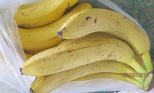 Запасливые украинские туристы распихали по чемоданам четверть тонны бананов, сухофруктов и орехов
