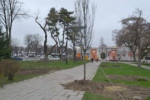 Автор проекта озеленения уверил симферопольцев в правильной высадке деревьев в Екатерининском саду