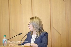 Уполномоченный по защите прав предпринимателей в РК Светлана Лужецкая отчиталась о результатах своей деятельности за 2017 год
