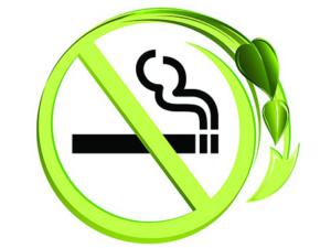 Роспотребнадзор оштрафовал пять индивидуальных предпринимателей, занимающихся реализацией табачной продукции