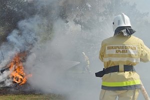 Из-за жары в Крыму каждый день фиксируют около 15 пожаров