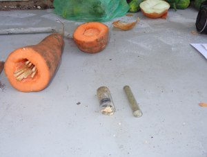 Конопля в моркови: в изолятор временного содержания пробовали передать наркотики