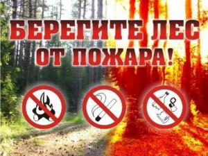 В Севастополе не выполняли ряд противопожарных мер при подготовке к пожароопасному периоду