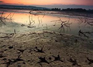 Почвы в Феодосии загрязнили отходами нефтепродуктов