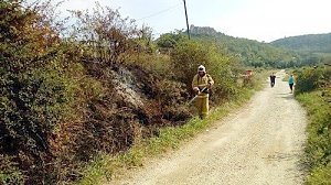 С начала июля сотрудники МЧС ликвидировали более 120 возгораний сухой растительности