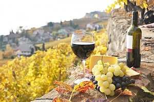 Фестиваль вина и гастрономии «Ноябрьфест» признали лучшим