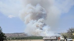 Лесной пожар в районе горы «Агармыш» локализован