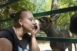 В Детском парке Симферополя появился новый питомец — ослик Рада