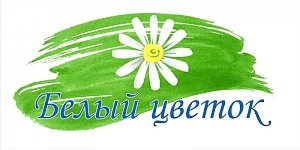 В Крыму в рамках акции «Белый цветок» собрали 2,5 млн рублей