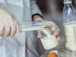 В детсады и школы Феодосии попало молоко «без адреса»