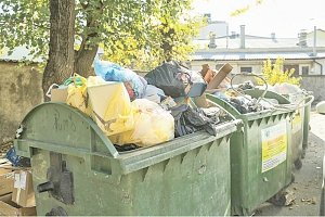 Почему за борьбу с мусором имеют возможность оштрафовать