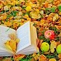 7 книг, которые имеют возможность украсить холодный месяц осени
