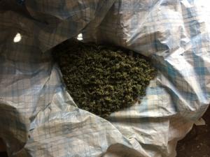 Житель Кировского района хранил дома 2,5 кг конопли